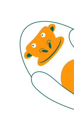 content block text image